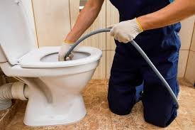 Clogged Toilet Cleaning georgetown tx