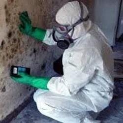 Mold Removal Service in Georgetown Texas